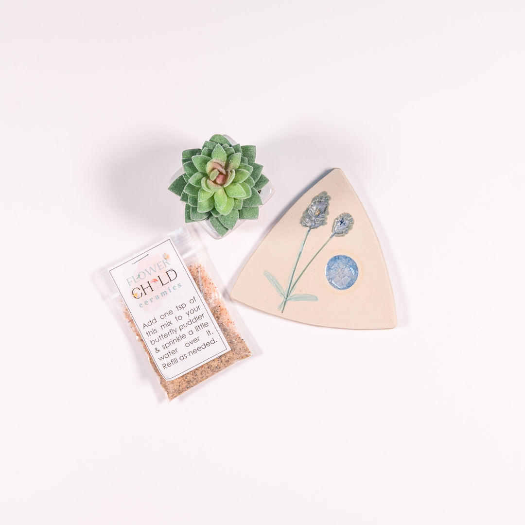 Triangular ceramic butterfly puddler next to butterfly salt mix and a small plant