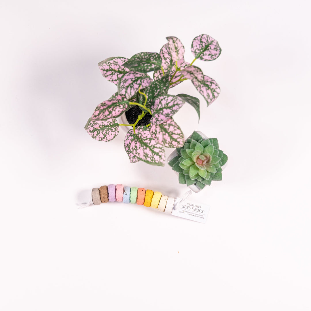 A string of biodegradable seed packets shaped like fruit loops
